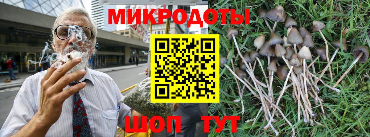 Галлюциногенные грибы ЛСД Кохма